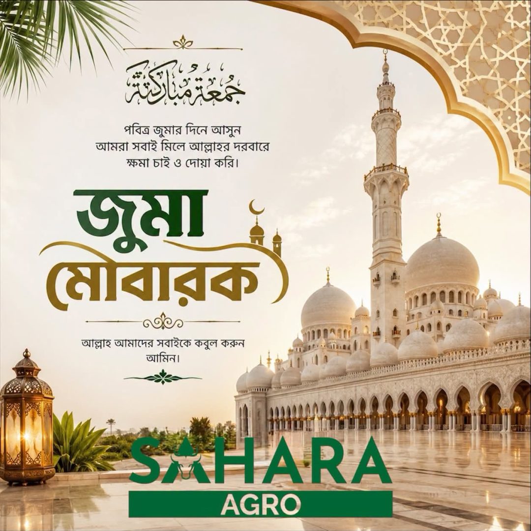 Jummah Mubarak! May this blessed Friday bring peace, light, and abundant blessings to you and your f